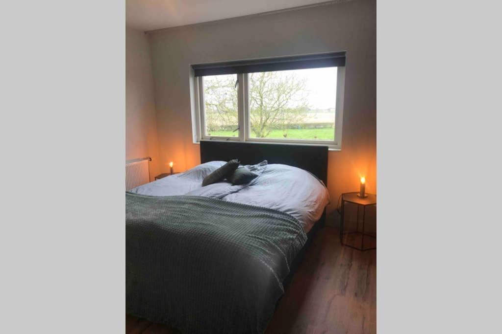 Suite School 15 B Zonnemaire Екстериор снимка
